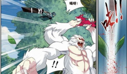 公猴漫画,幽默演绎动物世界的欢乐瞬间