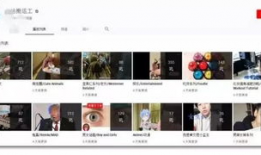 另类短视频,另类内容引领潮流解析